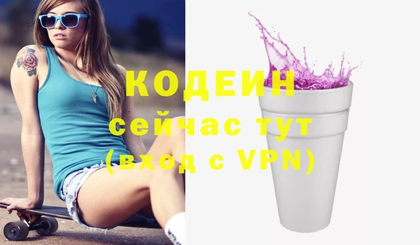 молекула духа Майский