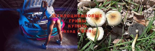 молекула духа Майский
