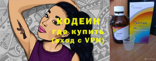 молекула духа Майский