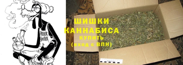 ECSTASY Магас