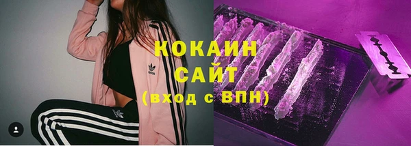 ECSTASY Магас