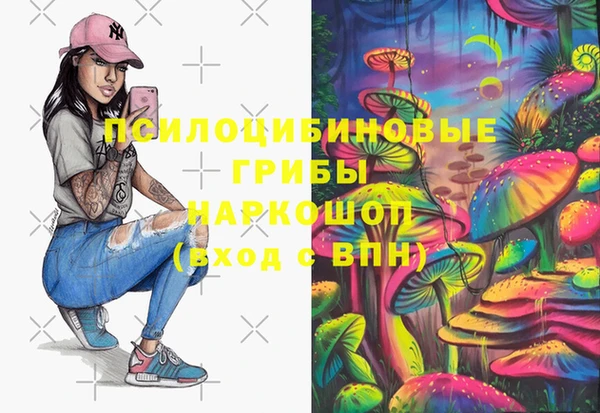 ECSTASY Магас